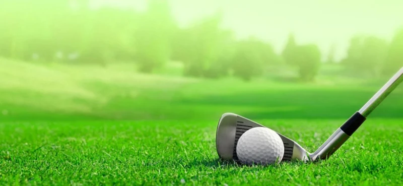 Best Golf Balls Basics for Beginners