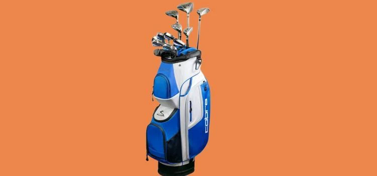 Cobra golf clubs set