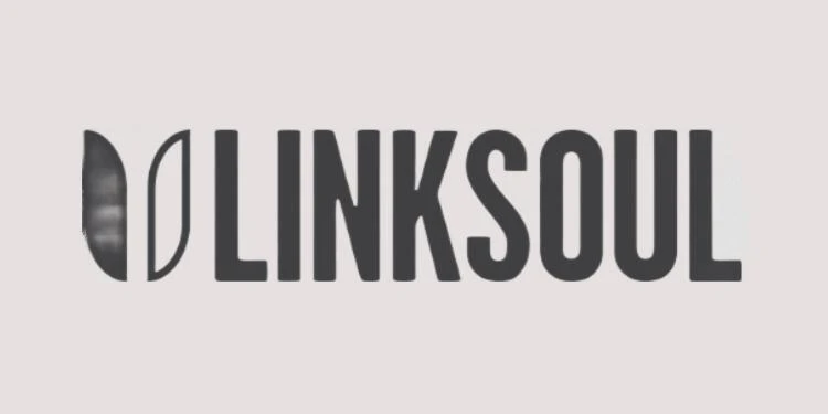 Linksoul Golf Apparel logo